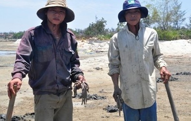 Trung Quốc lại mua địa sâm Việt Nam